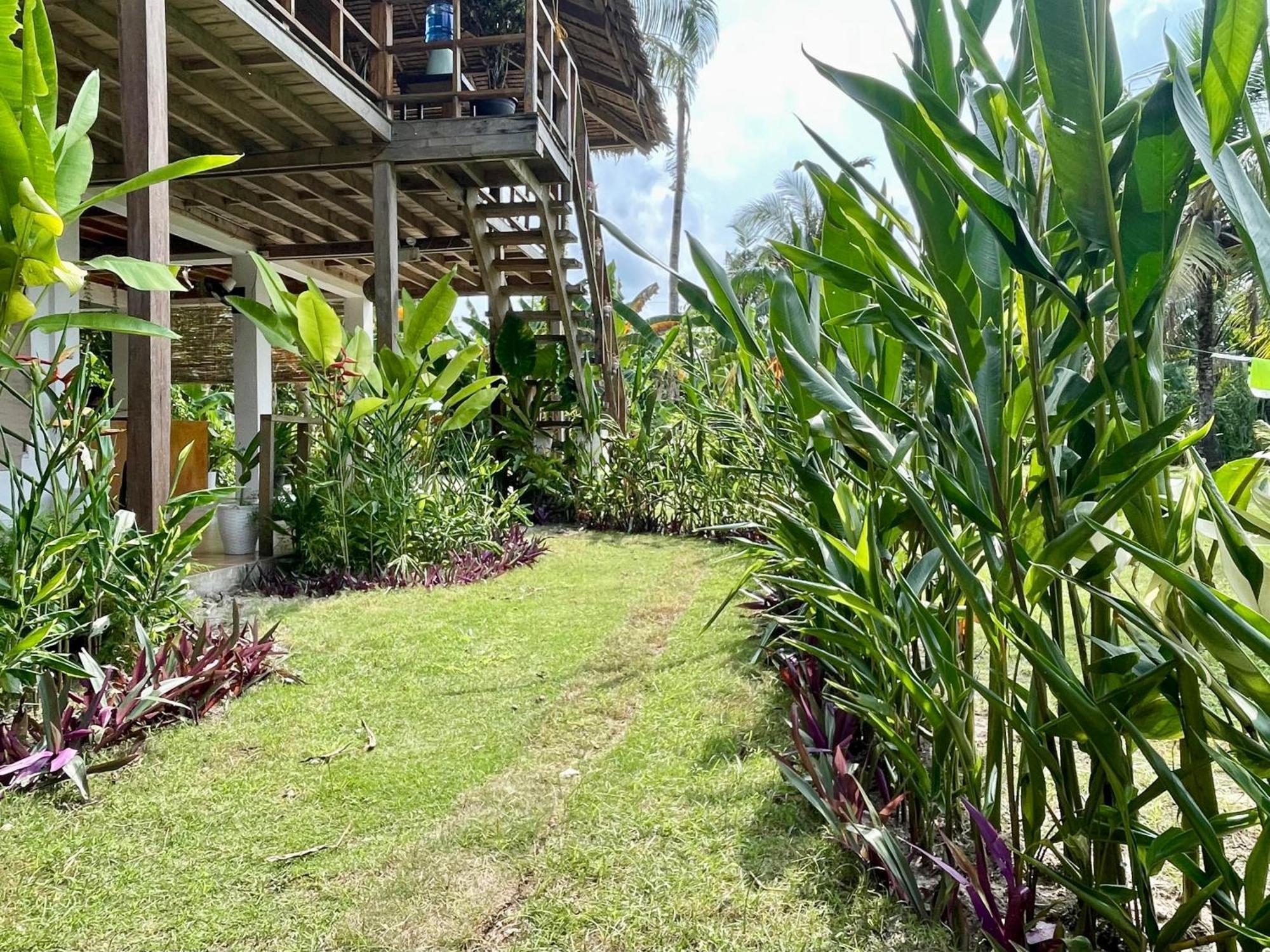 Siargao Sunflower Suites General Luna  Esterno foto